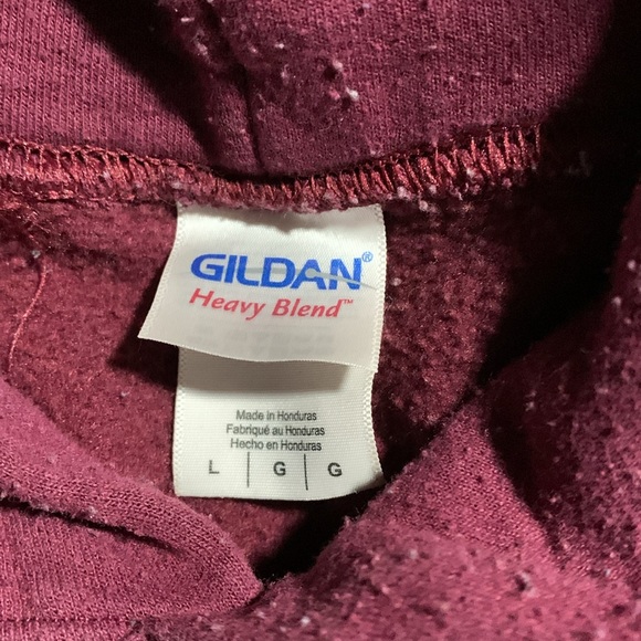 Gildan University of Ontario Hoodie - Picture 2 of 2